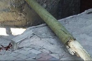 &Ouml;l&uuml;m, yoldan ge&ccedil;erken yakaladı