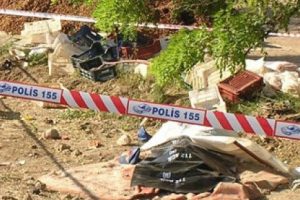 Otob&uuml;s bah&ccedil;eye u&ccedil;tu