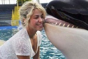 Katil balinadan Shakira'ya &ouml;p&uuml;c&uuml;k!