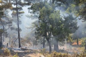 Orman yangını sınırı tehdit ediyor