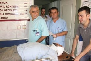 Ceviz ağacı ağır yaraladı