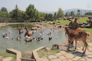 ZOO Park'ta sıcak alarmı