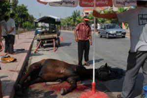 At &ouml;l&uuml;nce arabayı kendisi &ccedil;ekti!