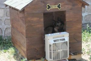 K&ouml;peklerini vantilat&ouml;rle serinletiyor