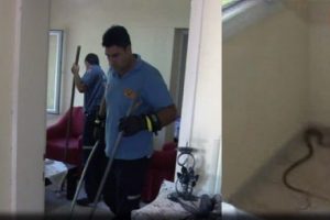 Misafir odasında ikinci misafir paniği