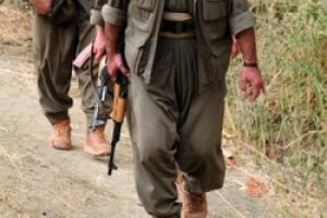 Şemdinli'de PKK'nın 2. girişimi