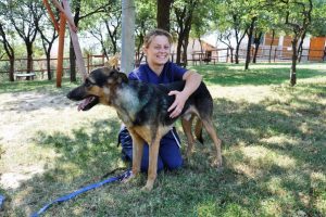 Yaralı sokak k&ouml;peği sağlığına kavuştu