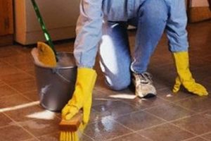 G&uuml;ndelik&ccedil;iye sigorta yolu a&ccedil;ıldı