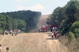 Sultanbeyli'de orman yangını