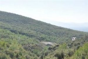 2B arazisi kullanıcılarına mektup var
