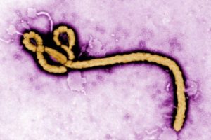 Ebola salgını kontrol altında