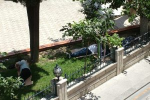 Uyku bah&ccedil;esinde sessiz oru&ccedil;