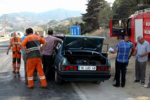 Bilecik'te ara&ccedil; yangını