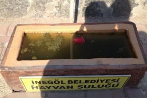 Hayvanların su kapları &ccedil;&ouml;pl&uuml;k oldu