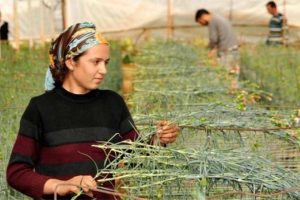 Yıllık 40 bin lira maaşla &ccedil;alışan bulamıyorlar