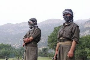 Siirt'te PKK operasyonu