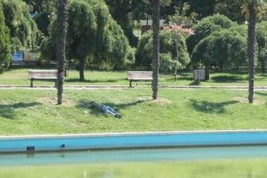 Bursalılar parklara bile &ccedil;ıkamadı - &Ouml;ZEL HABER