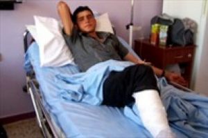 İnanılmaz ama ger&ccedil;ek! Ayı hayatını kurtardı