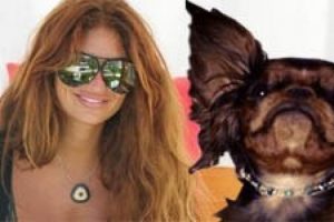 K&ouml;peğine pırlanta kolye