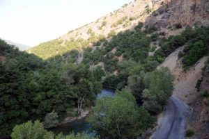 PKK'lıyız şahsınıza d&uuml;şman değiliz