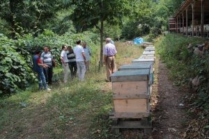 Ge&ccedil;imlerini kestane balı ile sağlıyorlar