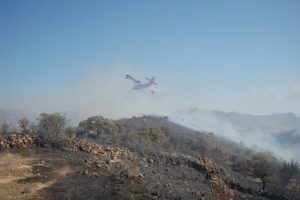 Bodrum'da korkutan yangın