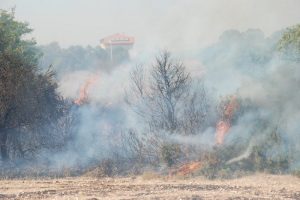 Didim'de bir g&uuml;nde ikinci yangın
