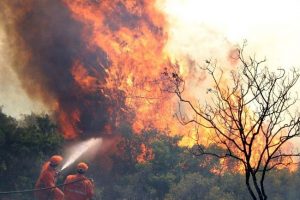 Ormanda b&uuml;y&uuml;k yangın alarmı izinleri kaldırttı