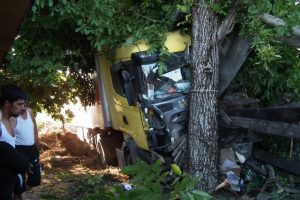 Yoldan &ccedil;ıkan TIR evin bah&ccedil;esine u&ccedil;tu