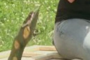 Dehşet şaka! Neye uğradıklarını şaşırdılar