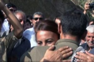 BDP-PKK buluşmasına inceleme