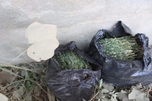 Muş'ta uyuşturucu operasyonu