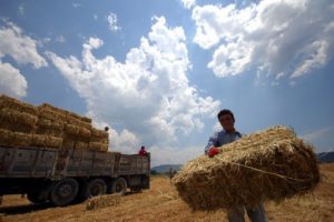 Fiyatı y&uuml;zde 400 arttı