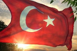 Bursa'da T&uuml;rk bayrağını yırtıp ka&ccedil;tı