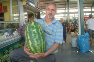 25 kiloluk karpuzlar kapışılıyor