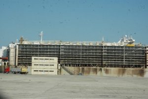 Angusların kokusu b&uuml;t&uuml;n şehri sardı