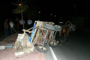 Polisin kovaladığı at arabası ref&uuml;je devrildi