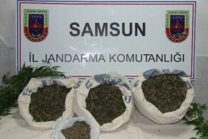 Jandarmadan zehir operasyonu