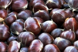 Kestane kebap yemesi faydalı