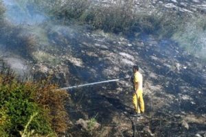 K&uuml;tahya'daki yangın kontrol altında