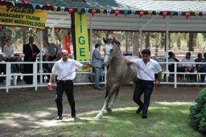 L&uuml;ks daire fiyatına taylar kapışıldı