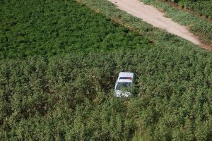 Polis aracı tarlaya u&ccedil;tu