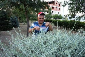 İnfaz memurunun okuma aşkı