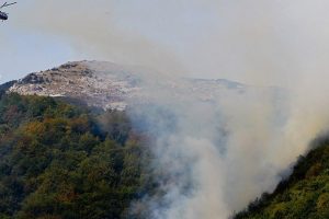 Bursa'da orman yangını