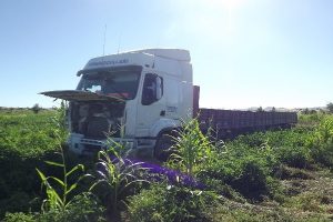 TIR domates tarlasına daldı