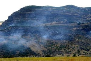 Tunceli'de orman yangınları s&uuml;r&uuml;yor