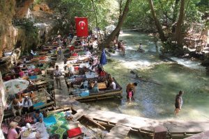 Naylon bağladılar dilek ağacı oldu