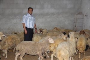 Kurbanlıklar cep yakacak