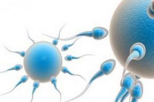 Bu da sperm polemiği!