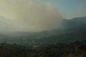 Dursunbey'de orman yangını